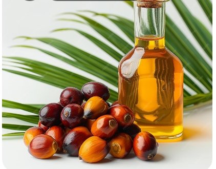 capture d’écran 4 10 2025 134710 www.freepik.com