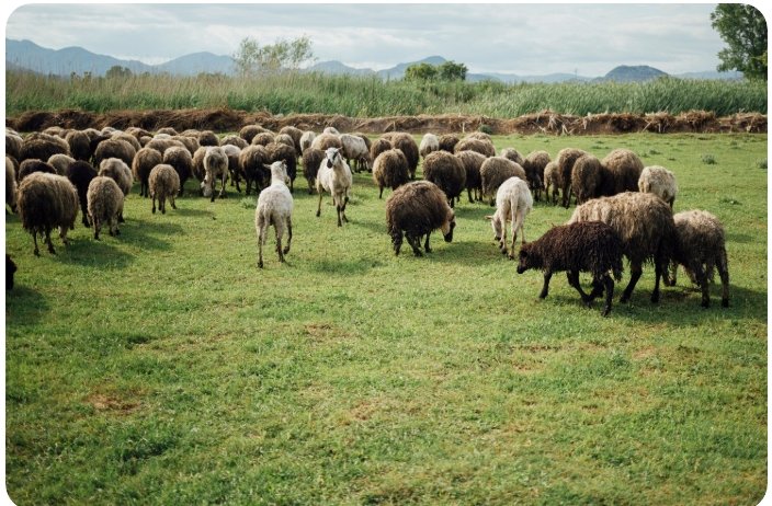 capture d’écran 4 10 2025 1402 www.freepik.com