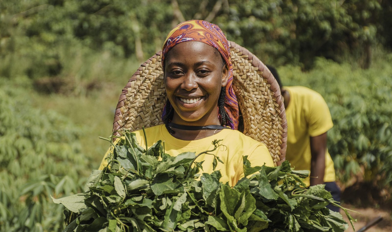 cultures vivrières et pérennes
