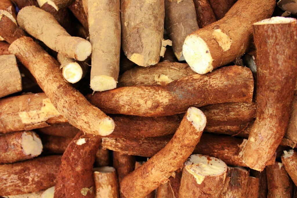 Le manioc de kIkwit Image actuelle : A close-up view of freshly harvested organic cassava roots, showcasing their textured skin.